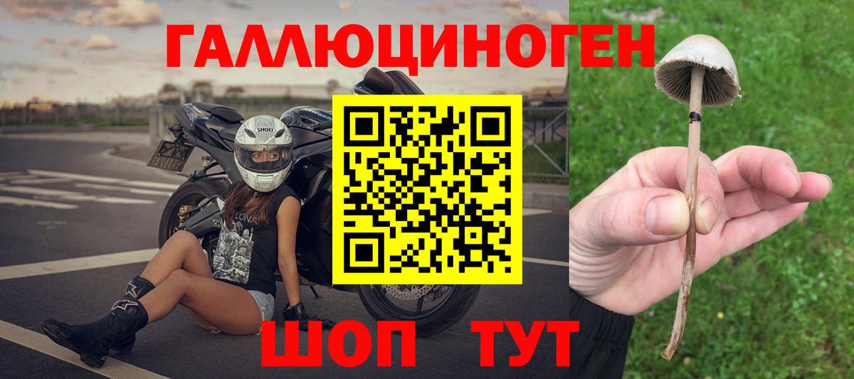 Псилоцибиновые грибы прущие грибы  Вход с VPN  как найти наркотики  Шебекино 